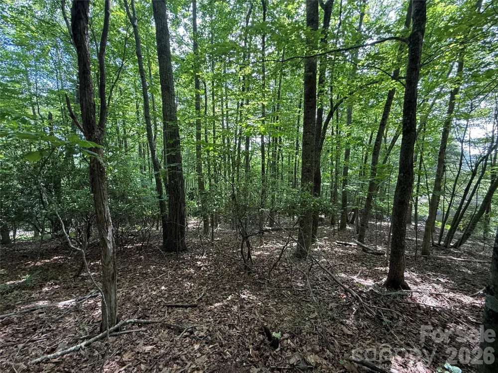 0000 Hardwood Summit Drive #191 Hendersonville, NC 28739