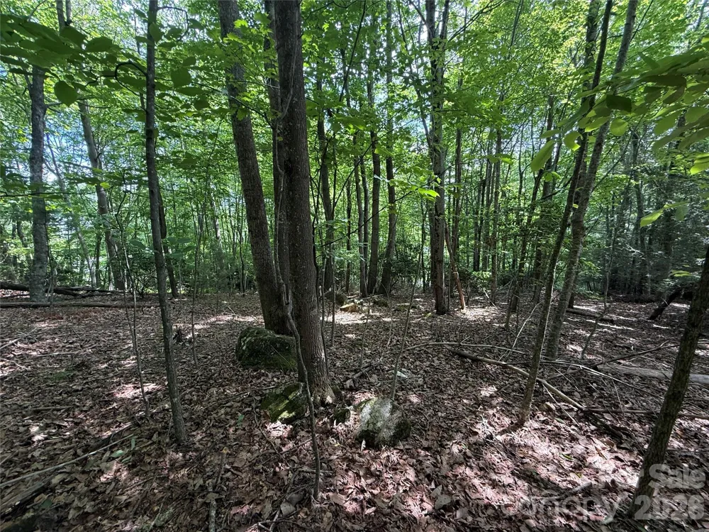 0000 Hardwood Summit Drive #191 Hendersonville, NC 28739