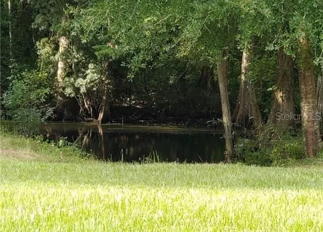 12253 E BERRY LANE Floral City, FL 34436