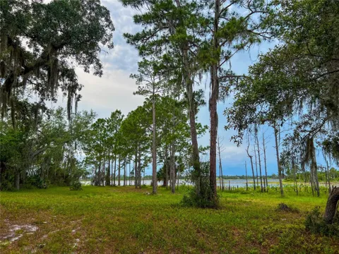 2332 MITCHELL ISLAND ROAD