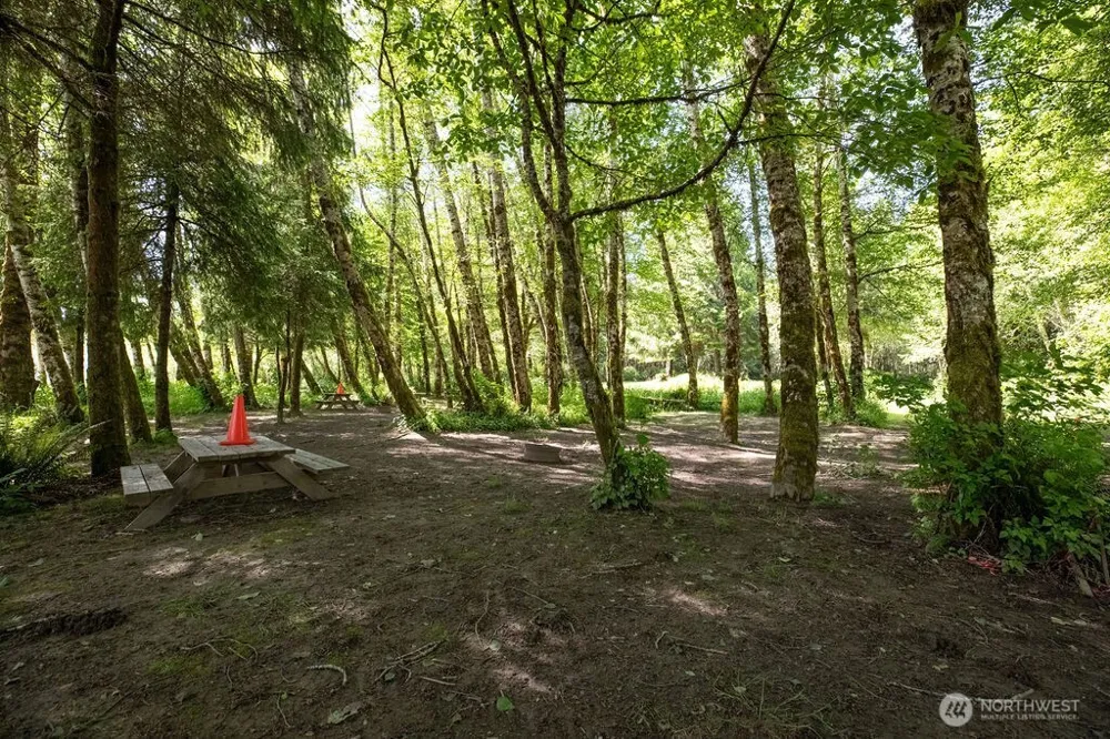 745 Green Road Forks, WA 98331