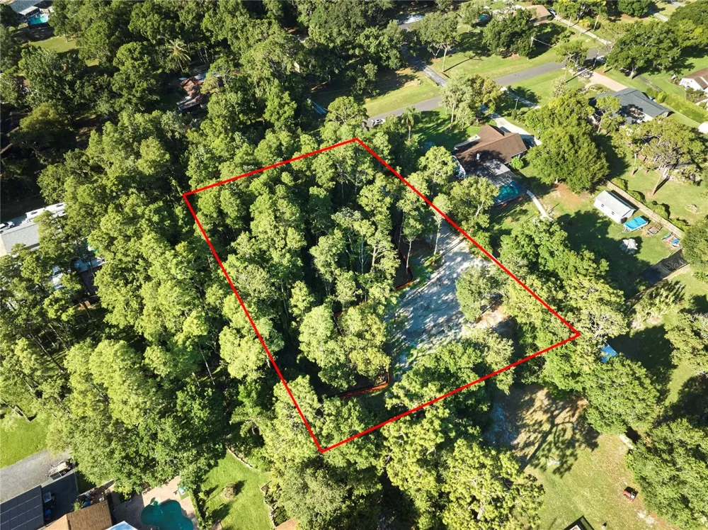 7709 WINDWARD WAY Odessa, FL 33556