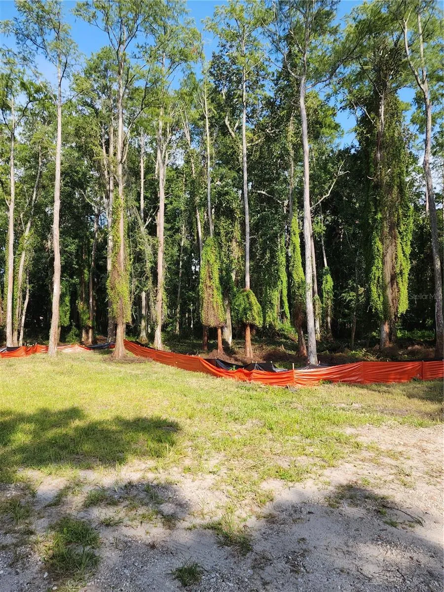 7709 WINDWARD WAY Odessa, FL 33556