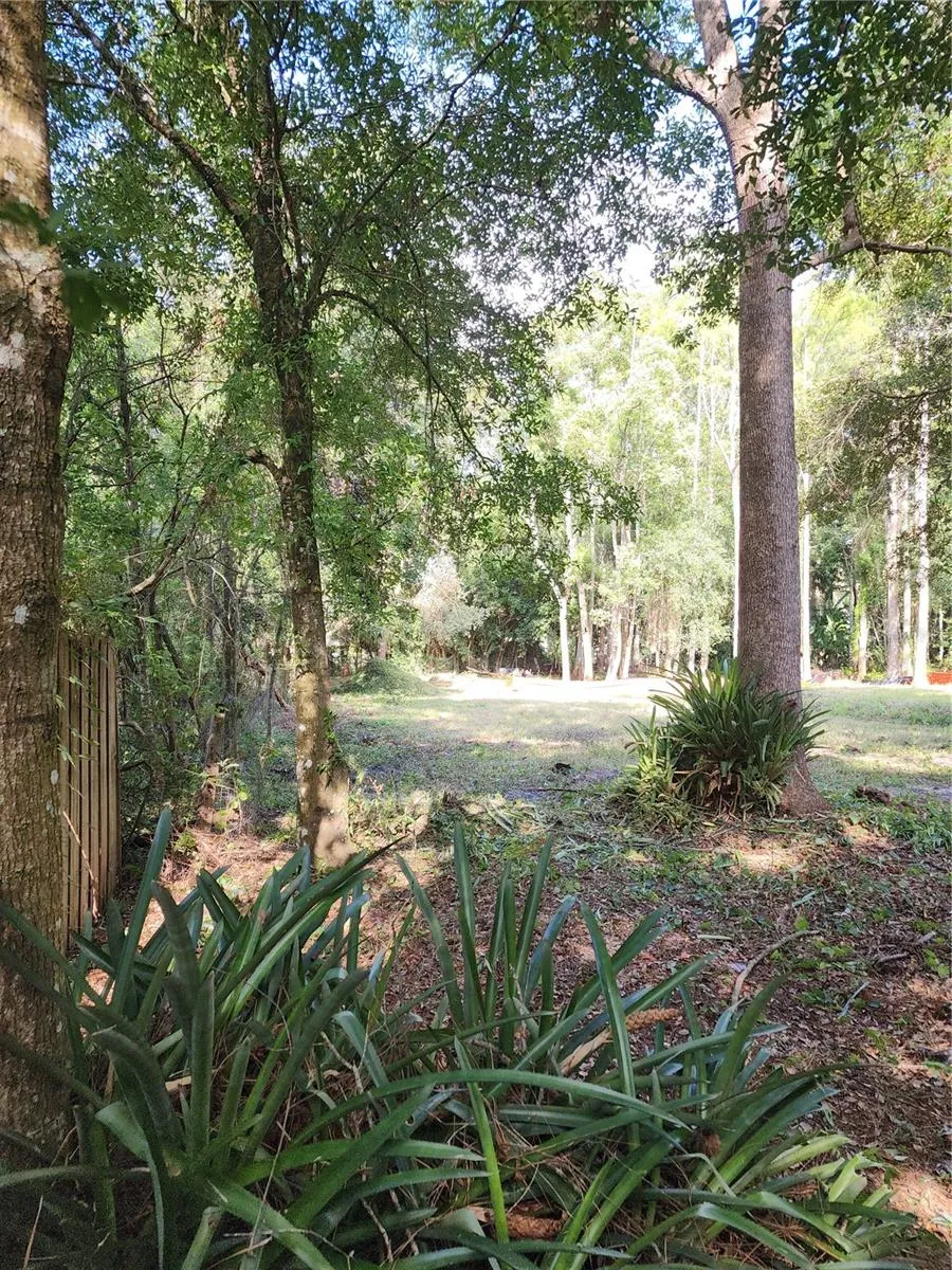 7709 WINDWARD WAY Odessa, FL 33556