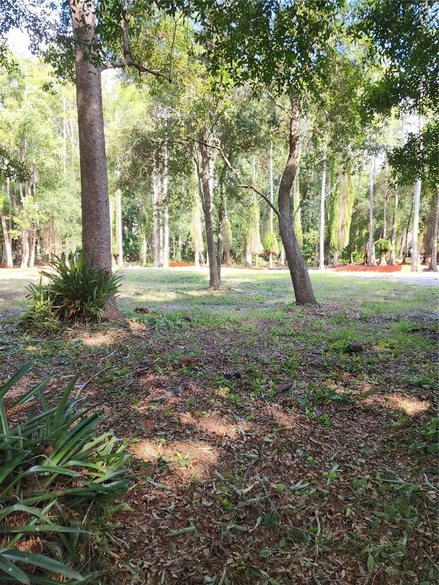 7709 WINDWARD WAY Odessa, FL 33556