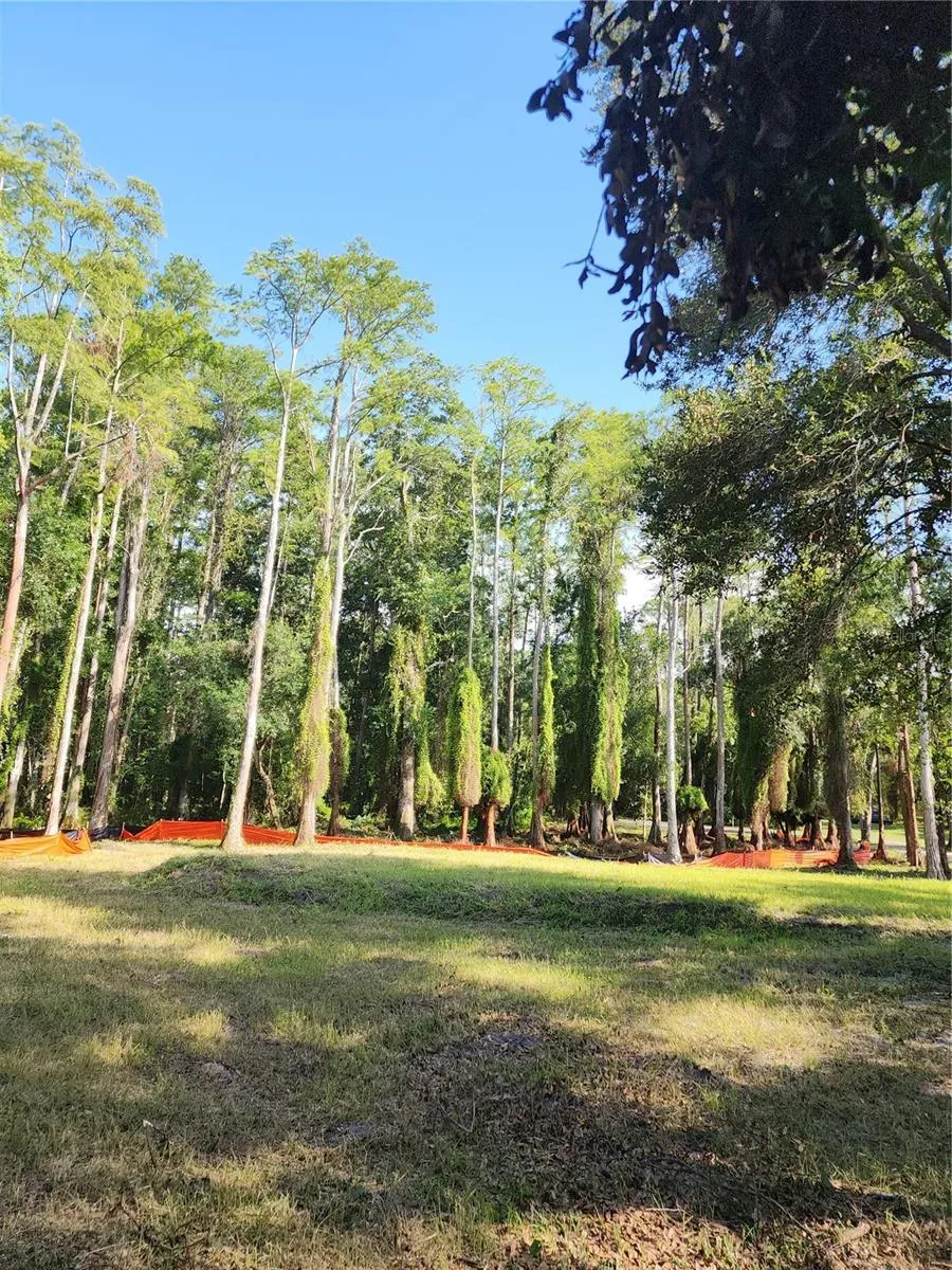 7709 WINDWARD WAY Odessa, FL 33556