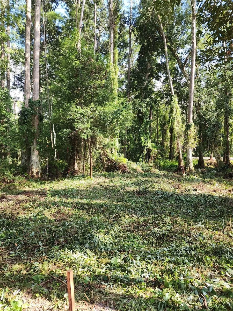 7709 WINDWARD WAY Odessa, FL 33556