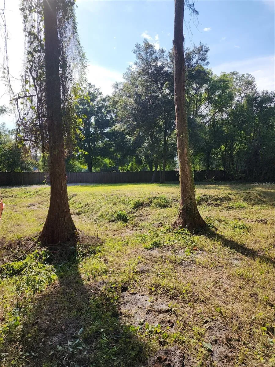7709 WINDWARD WAY Odessa, FL 33556