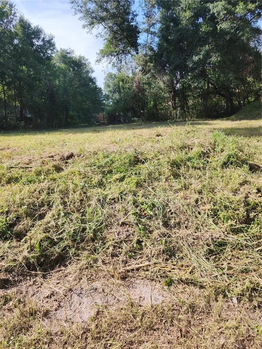 7709 WINDWARD WAY Odessa, FL 33556