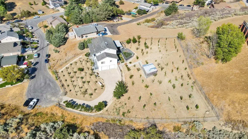 42804 Barnstead Drive Lake Hughes, CA 93532