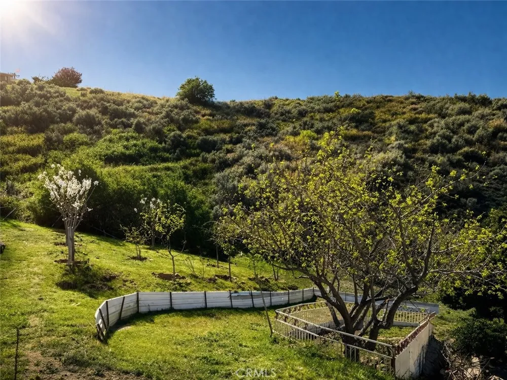 42804 Barnstead Drive Lake Hughes, CA 93532