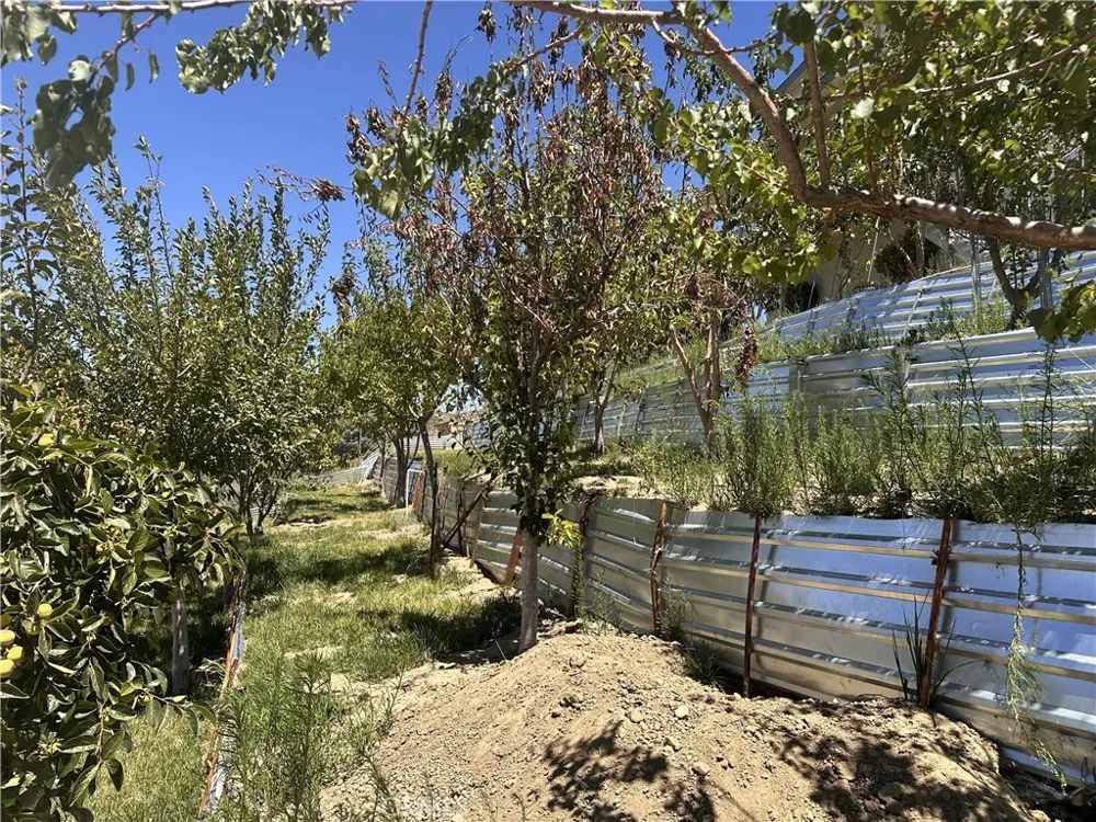 42804 Barnstead Drive Lake Hughes, CA 93532