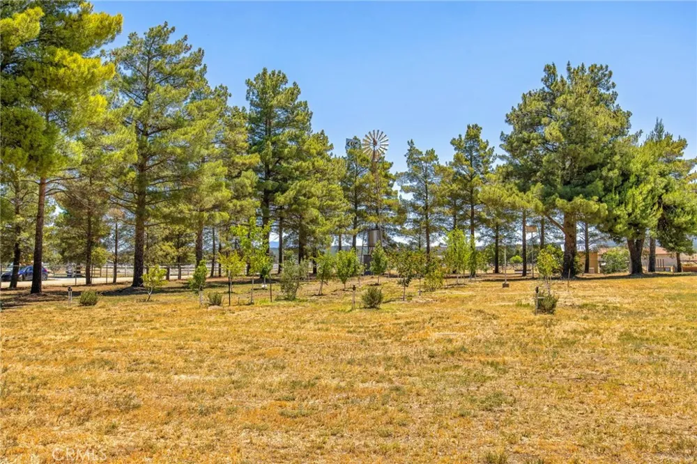 49585 Flightline Way Aguanga, CA 92536