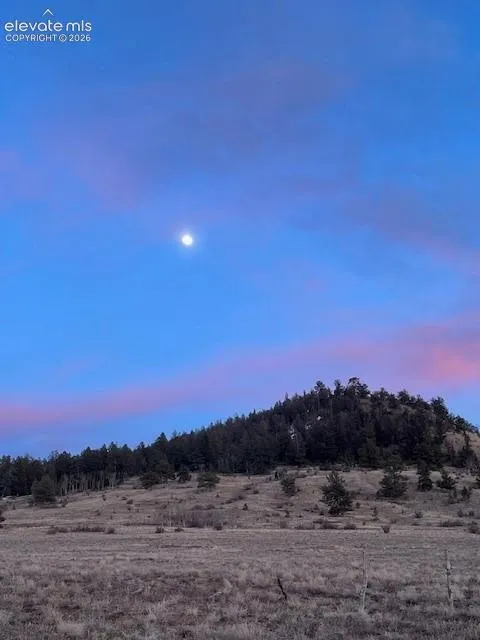14012 Chickasaw Road Hartsel, CO 80449