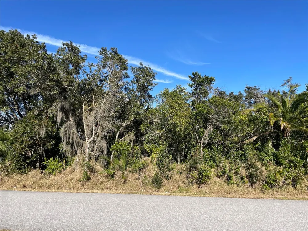 0 POINSETTIA DRIVE Lake Wales, FL 33898