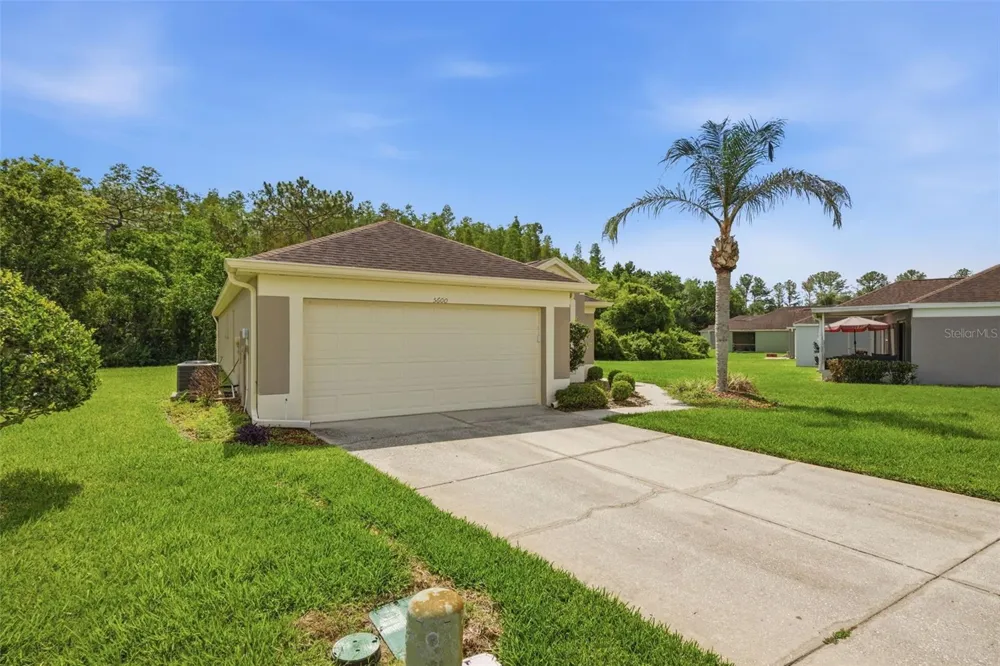 5600 SIR BARTON COURT Wesley Chapel, FL 33544