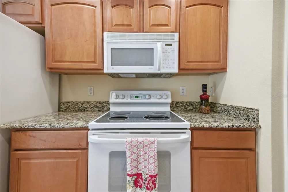 5600 SIR BARTON COURT Wesley Chapel, FL 33544