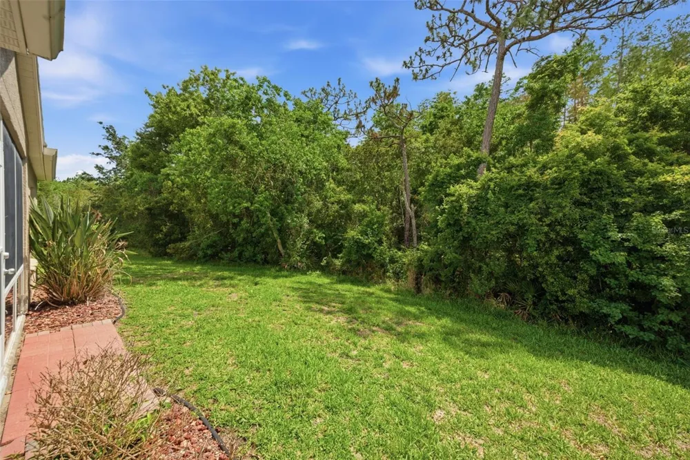 5600 SIR BARTON COURT Wesley Chapel, FL 33544