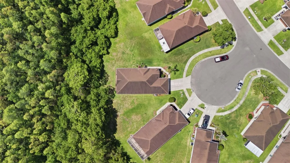 5600 SIR BARTON COURT Wesley Chapel, FL 33544