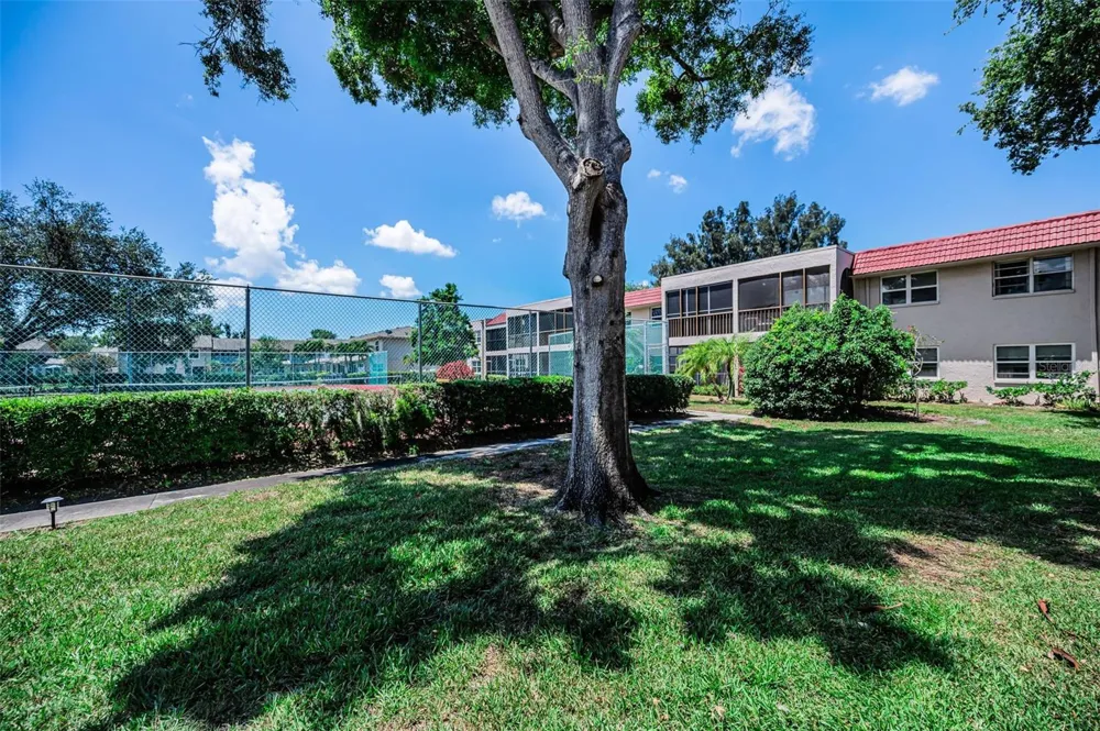 9700 STARKEY ROAD #228 Seminole, FL 33777