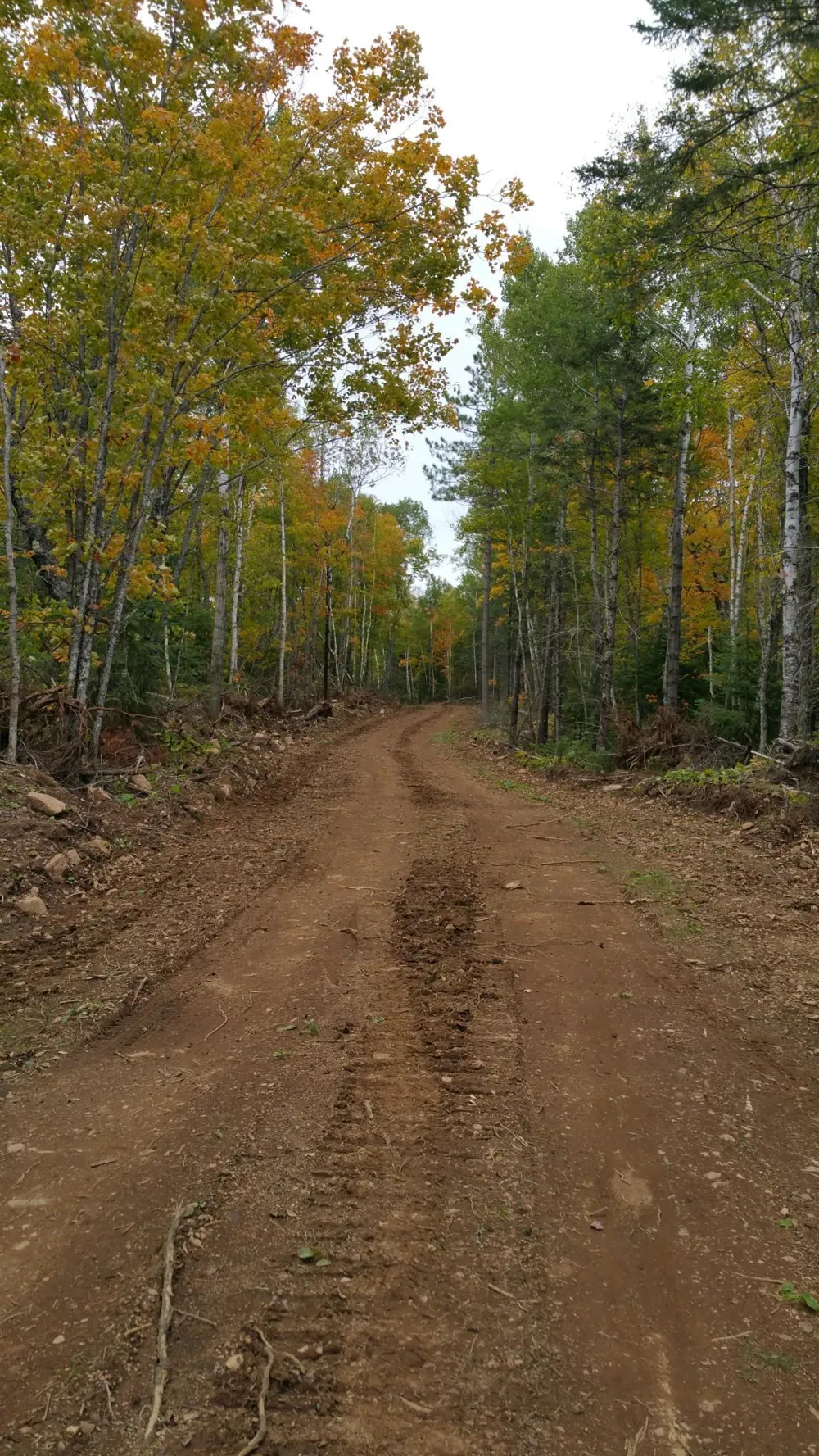 5241 Hut Two Road Finland, MN 55603