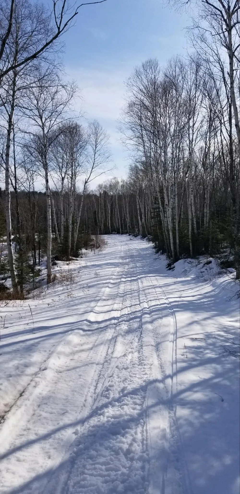 5241 Hut Two Road Finland, MN 55603