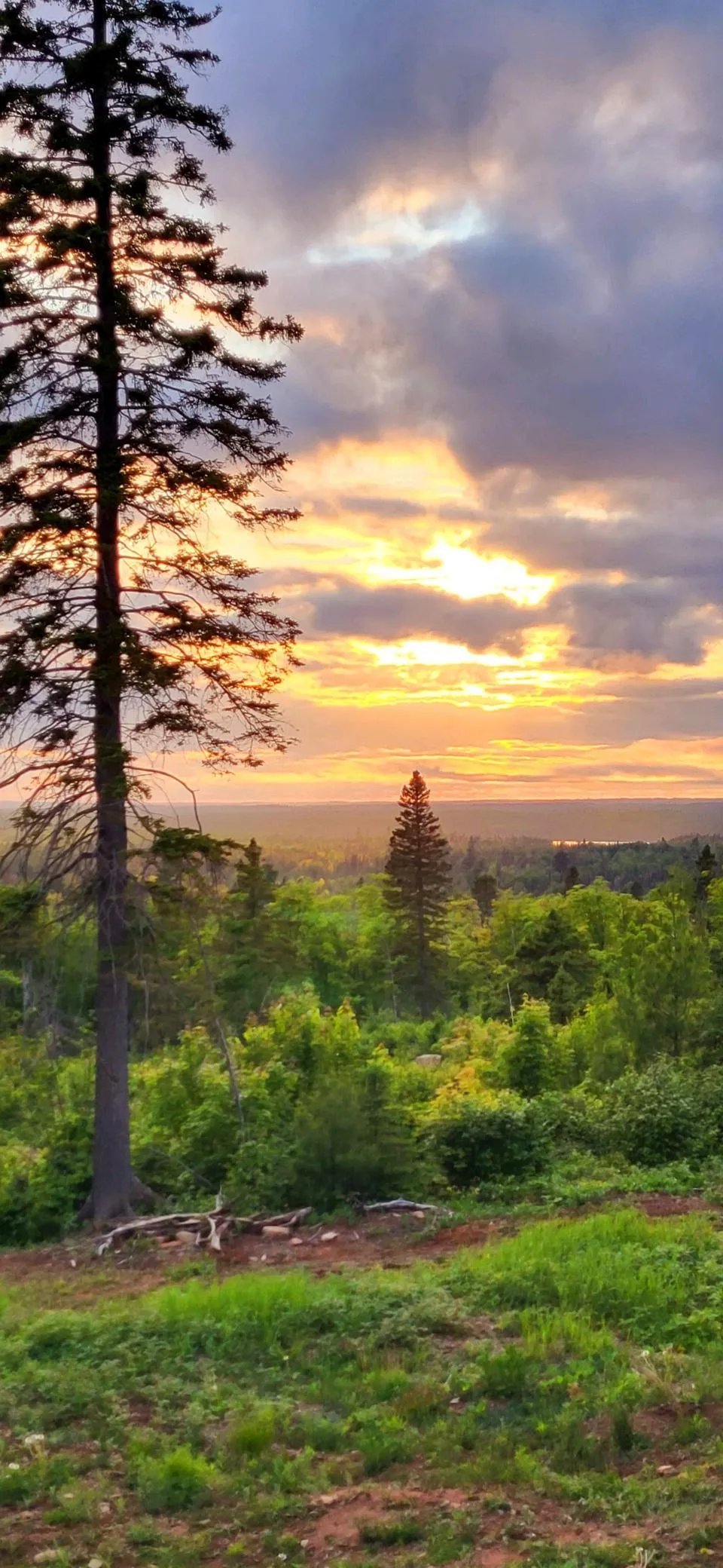 5241 Hut Two Road Finland, MN 55603