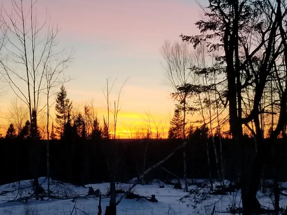 5241 Hut Two Road Finland, MN 55603