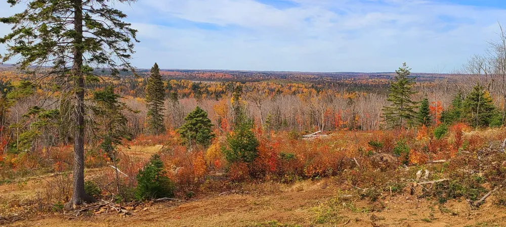 5241 Hut Two Road Finland, MN 55603