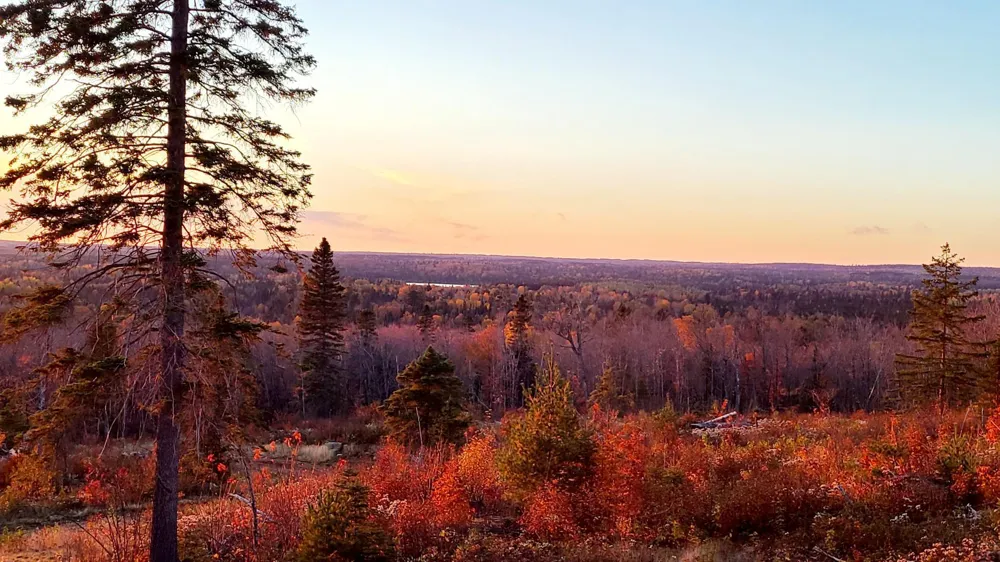 5241 Hut Two Road Finland, MN 55603
