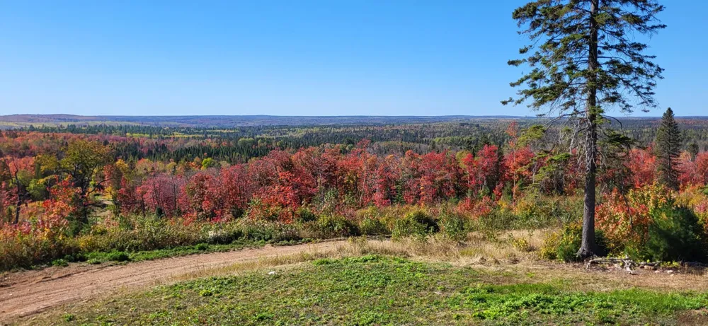 5241 Hut Two Road Finland, MN 55603