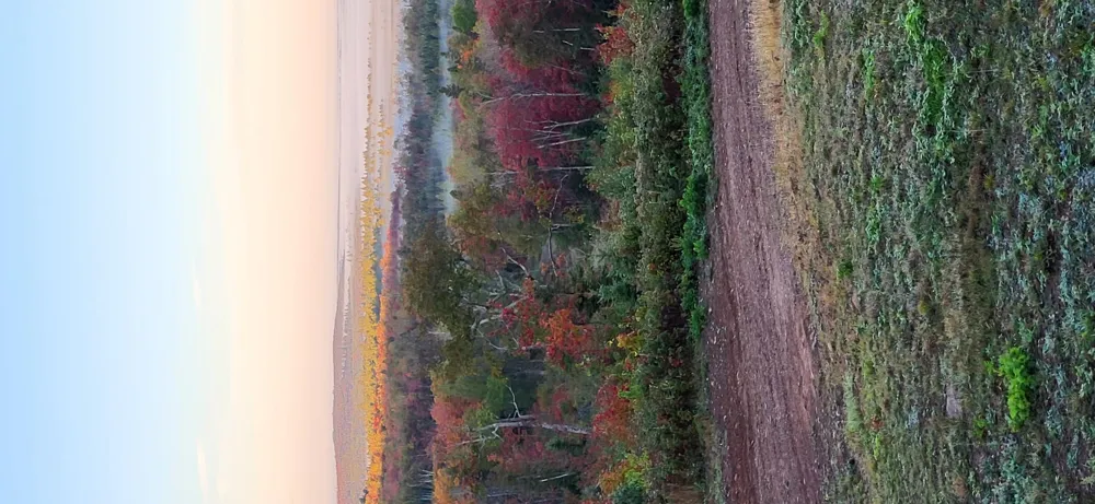 5241 Hut Two Road Finland, MN 55603
