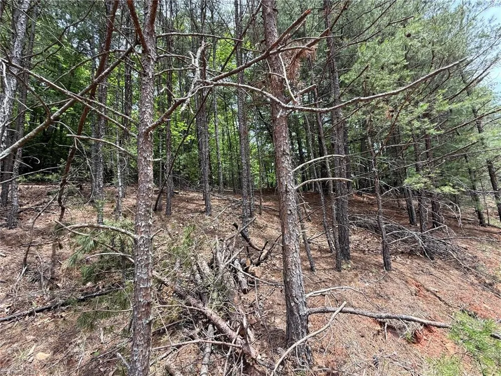 Lot 33 Jonathan Drive Lowgap, NC 27024