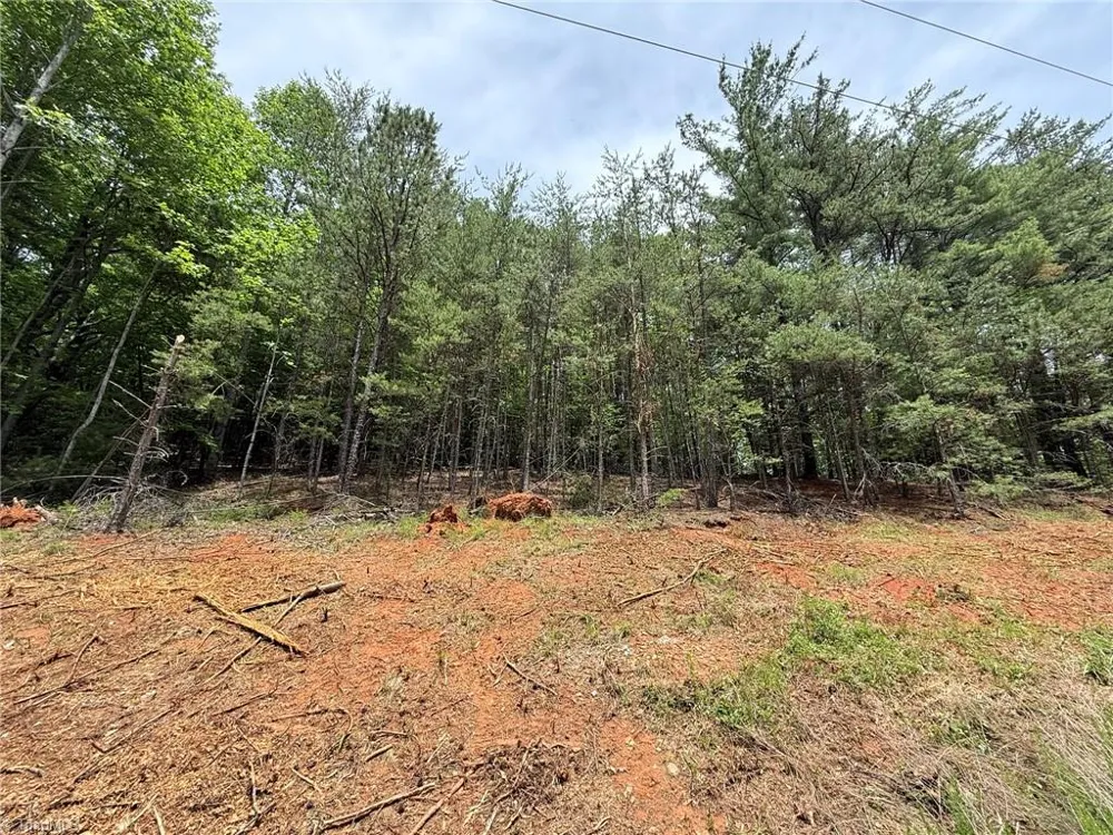 Lot 33 Jonathan Drive Lowgap, NC 27024