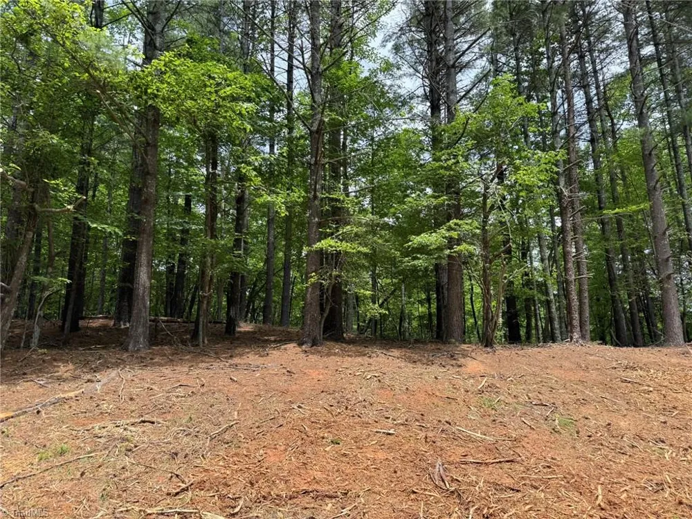 Lot 33 Jonathan Drive Lowgap, NC 27024