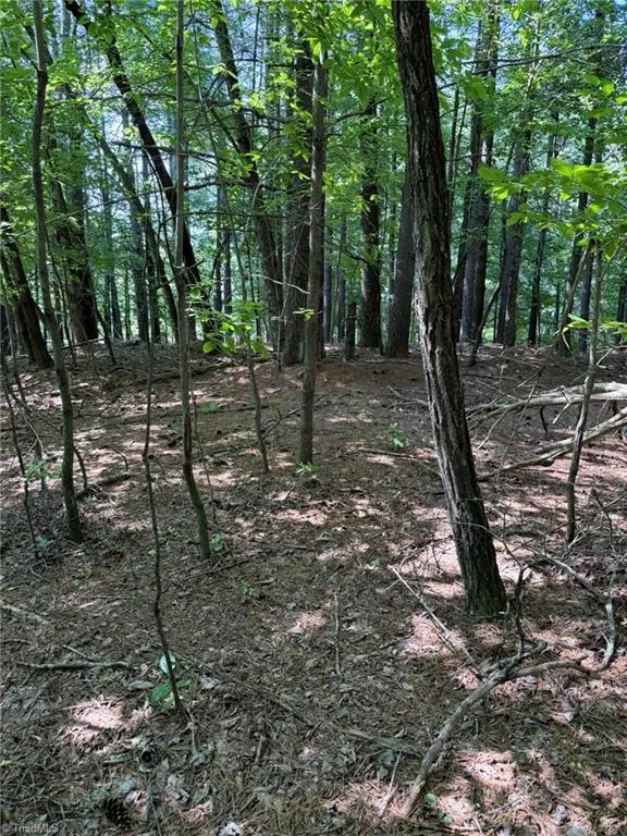 Lot 33 Jonathan Drive Lowgap, NC 27024
