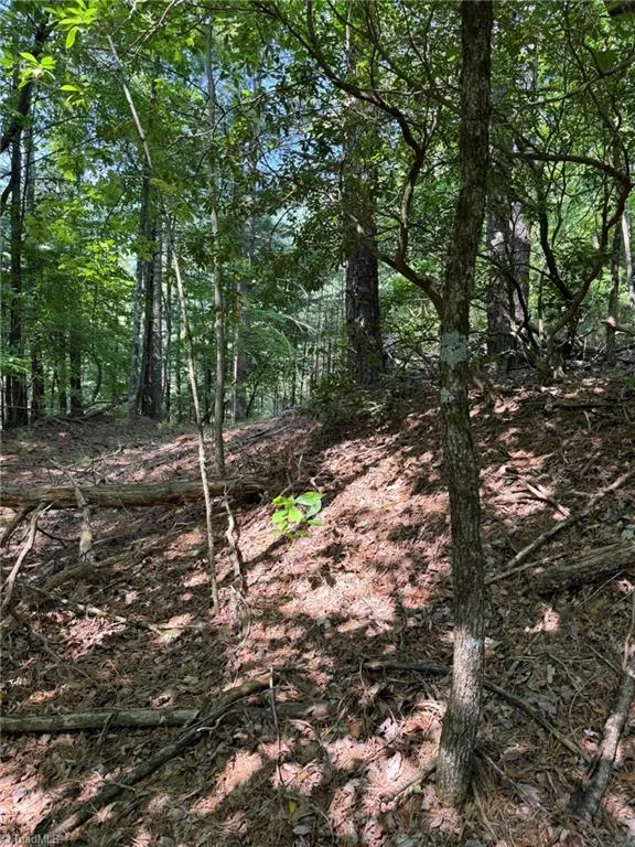 Lot 33 Jonathan Drive Lowgap, NC 27024