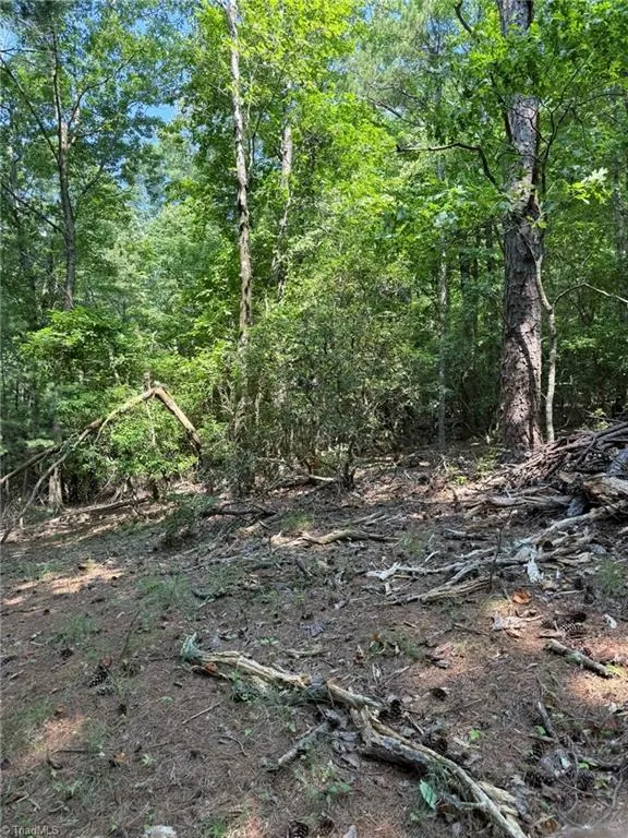 Lot 33 Jonathan Drive Lowgap, NC 27024