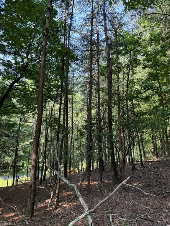 Lot 33 Jonathan Drive Lowgap, NC 27024