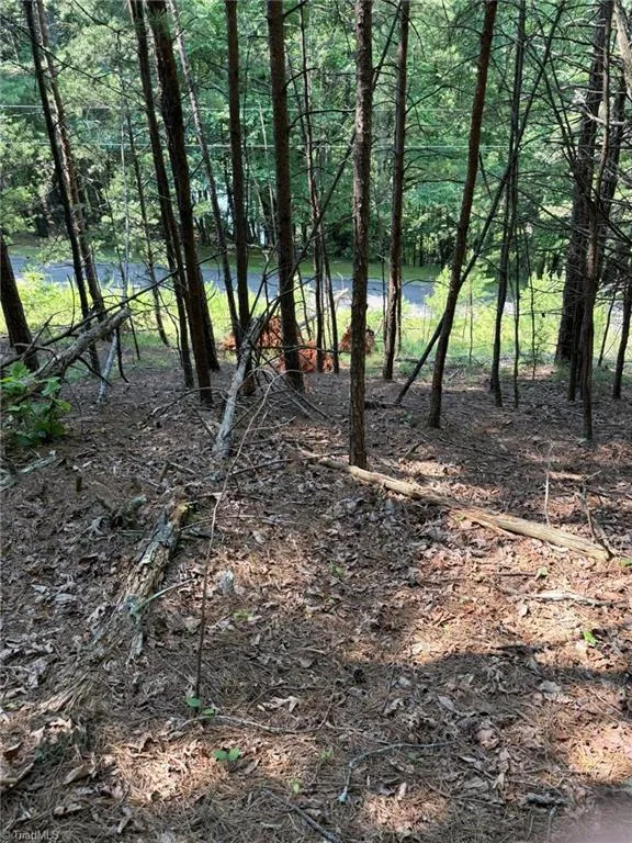 Lot 33 Jonathan Drive Lowgap, NC 27024