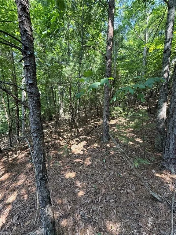 Lot 33 Jonathan Drive Lowgap, NC 27024