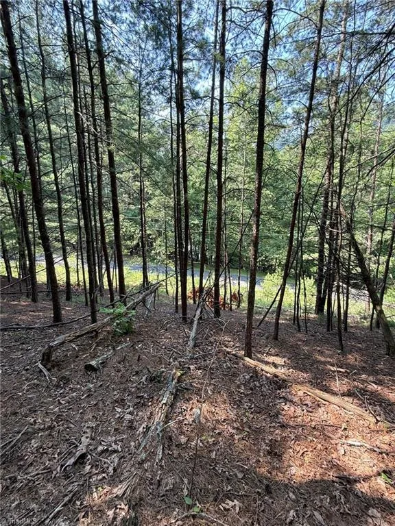 Lot 33 Jonathan Drive Lowgap, NC 27024