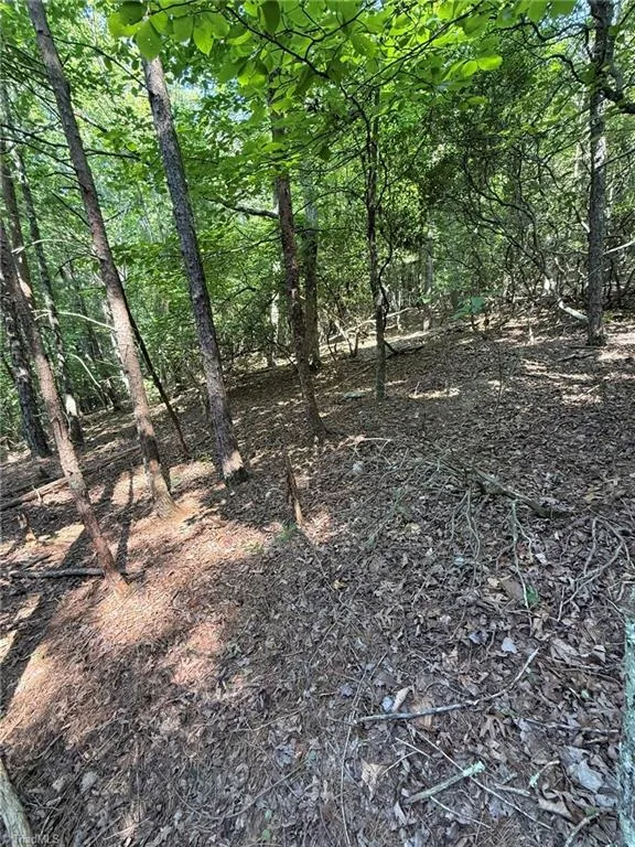 Lot 33 Jonathan Drive Lowgap, NC 27024
