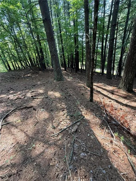 Lot 33 Jonathan Drive Lowgap, NC 27024