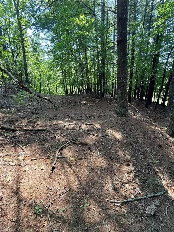 Lot 33 Jonathan Drive Lowgap, NC 27024