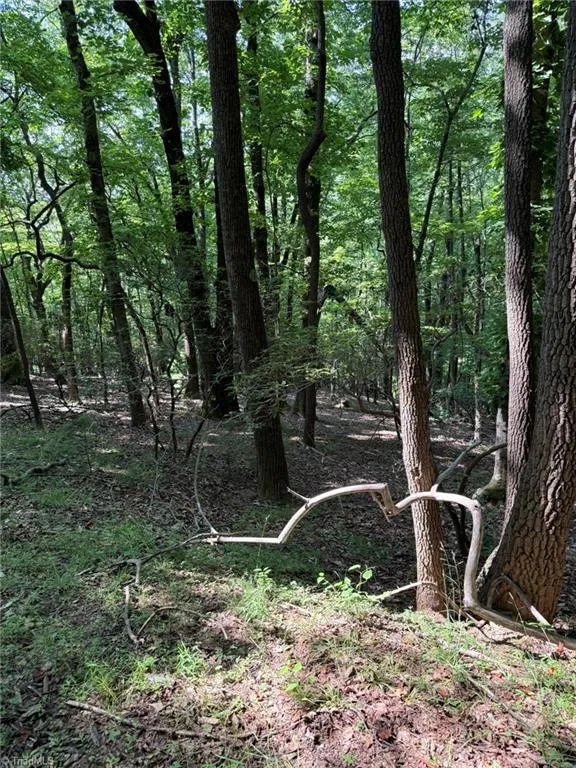 Lot 33 Jonathan Drive Lowgap, NC 27024