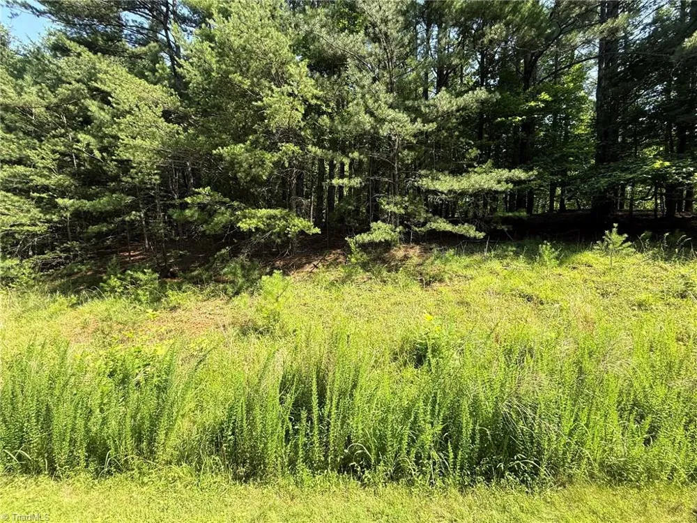 Lot 33 Jonathan Drive Lowgap, NC 27024