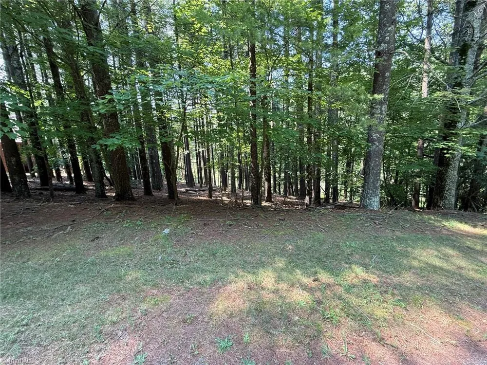 Lot 33 Jonathan Drive Lowgap, NC 27024