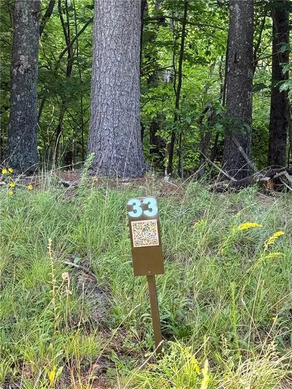 Lot 33 Jonathan Drive Lowgap, NC 27024