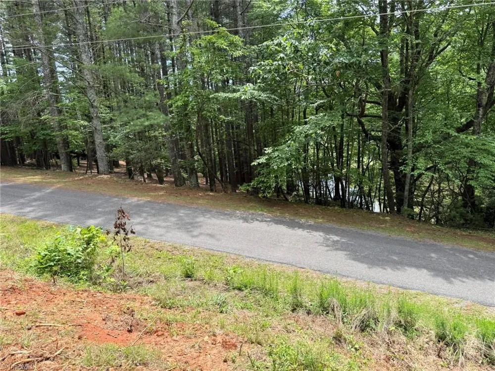 Lot 33 Jonathan Drive Lowgap, NC 27024